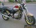 250 cc kanuni tiger